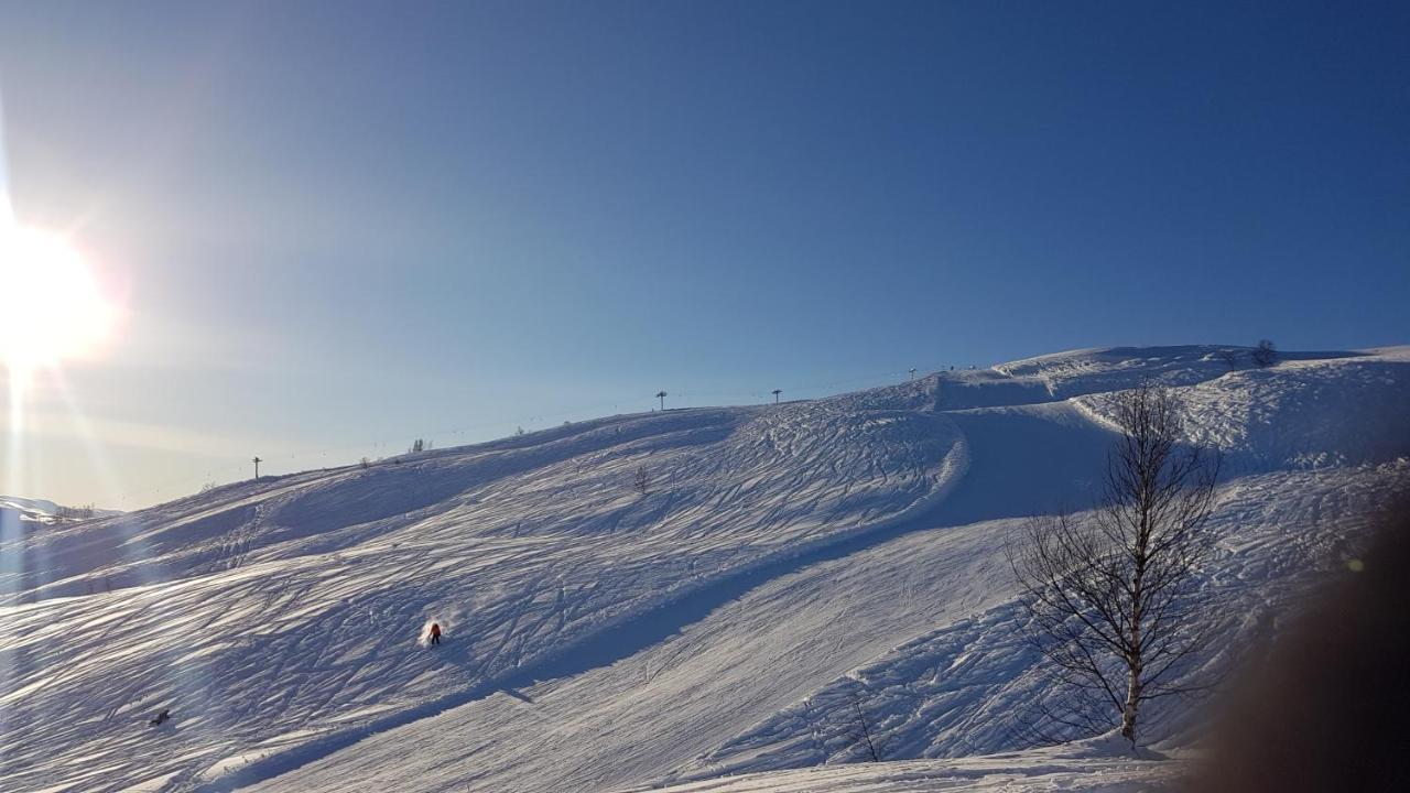 Timblalodgen Sogndal Bagian luar foto