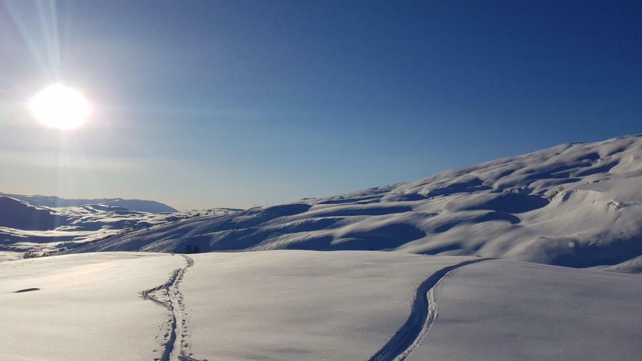 Timblalodgen Sogndal Bagian luar foto